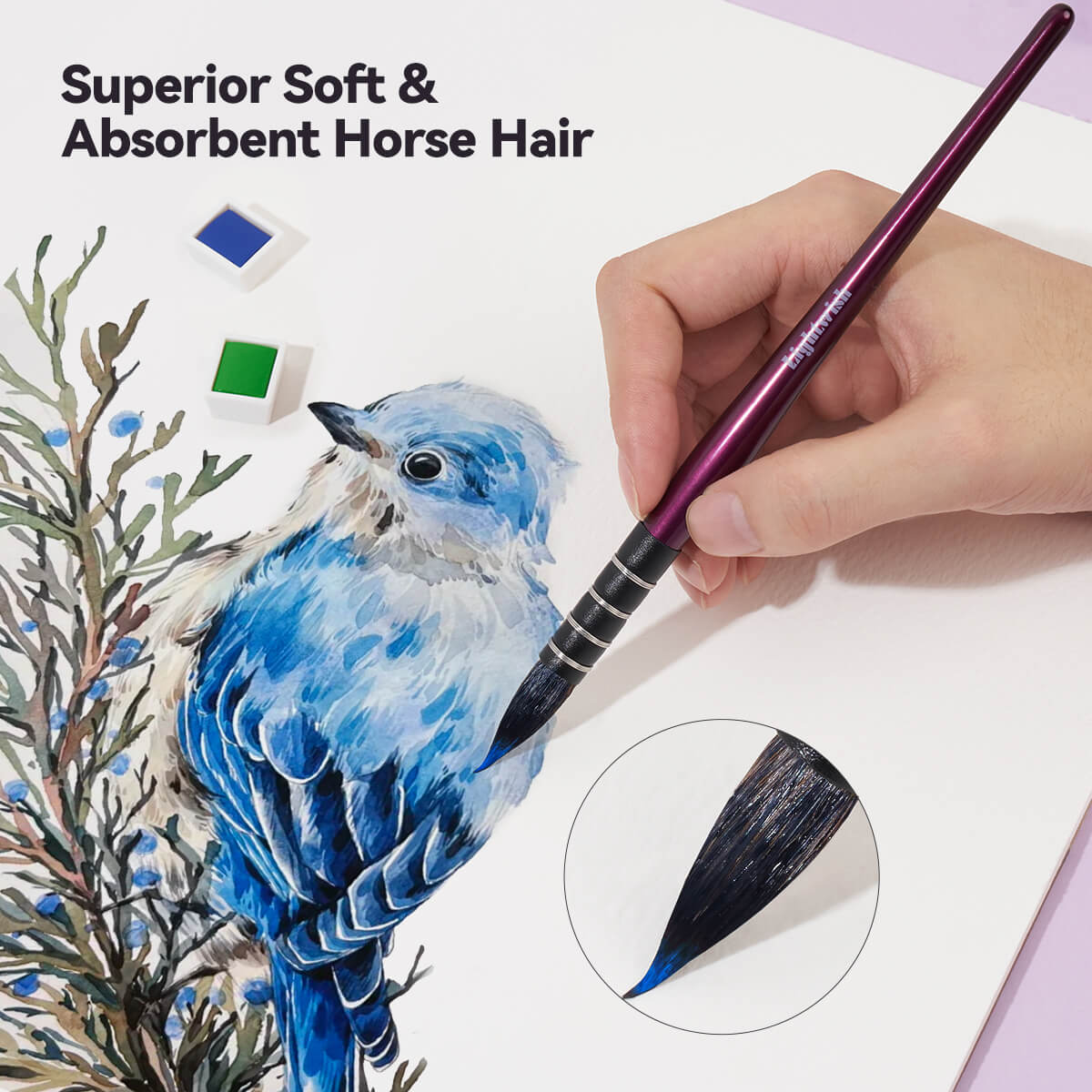 Lightwish Artist Watercolor Set – 24 Colors