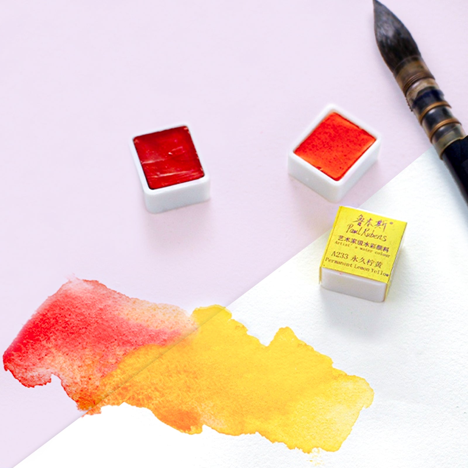 Paul Rubens Artist Grade 48 Colors Solid Watercolor Paints