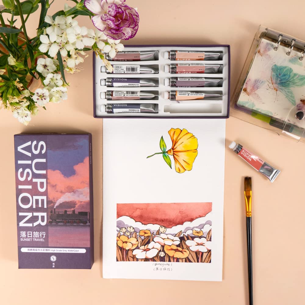 SUPER VISION 10 High-Grade Grey Colors Watercolor Tube Paint