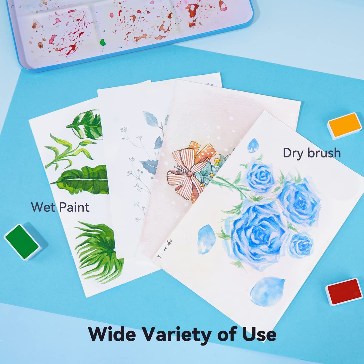 Paul Rubens 24 Vivid Colors Watercolor Paint Set – Lightwish